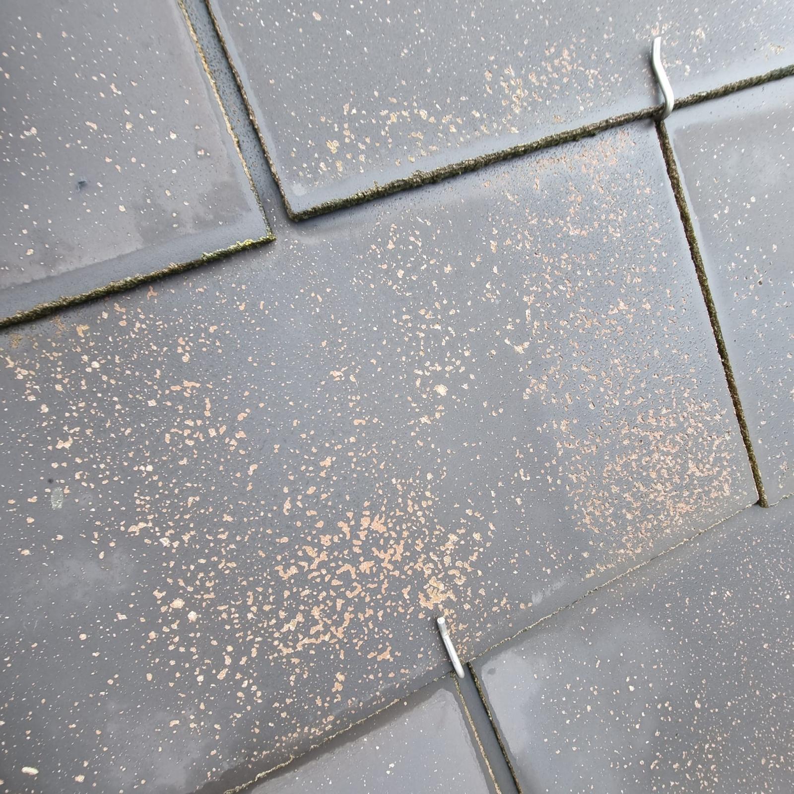 Emile Couverture, entreprise de couverture à Les-Alluets-le-Roi (78580) dans les Yvelines (78)