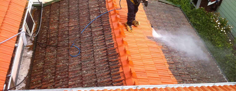 Nettoyage et demoussage de toiture à Les-Alluets-le-Roi (78580) dans les Yvelines (78)