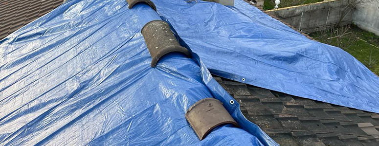 Réparation et rénovation de toiture à Les-Alluets-le-Roi (78580) dans les Yvelines (78)